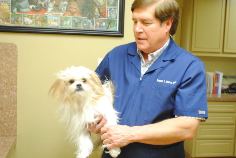 Nolanvilleshotclinicphoenix.jpg